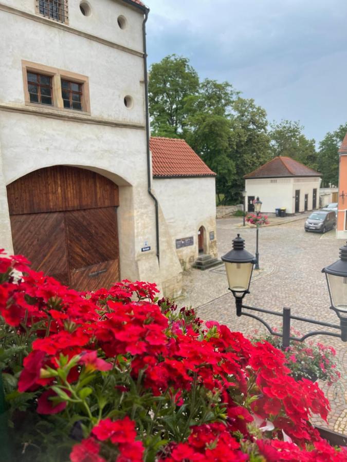 Pension Alt Naumburg Naumburg  Buitenkant foto
